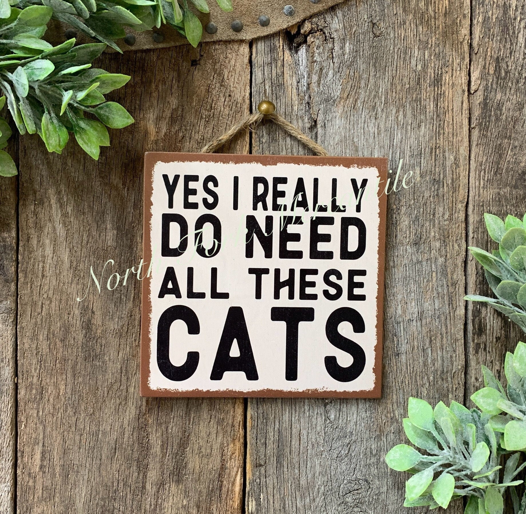 Yes I Really Do Need All These Cats