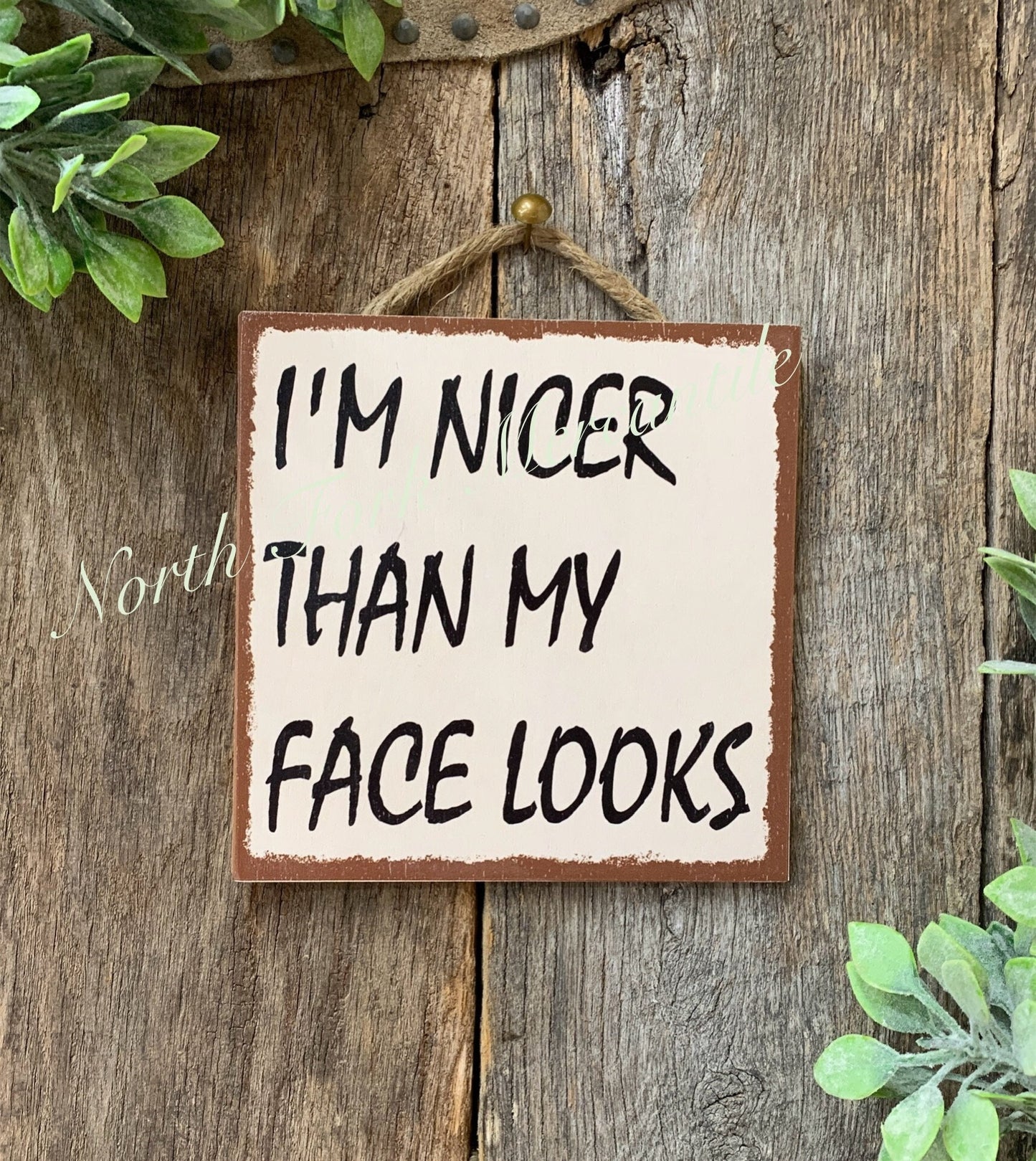 I'm Nicer Than My Face Looks