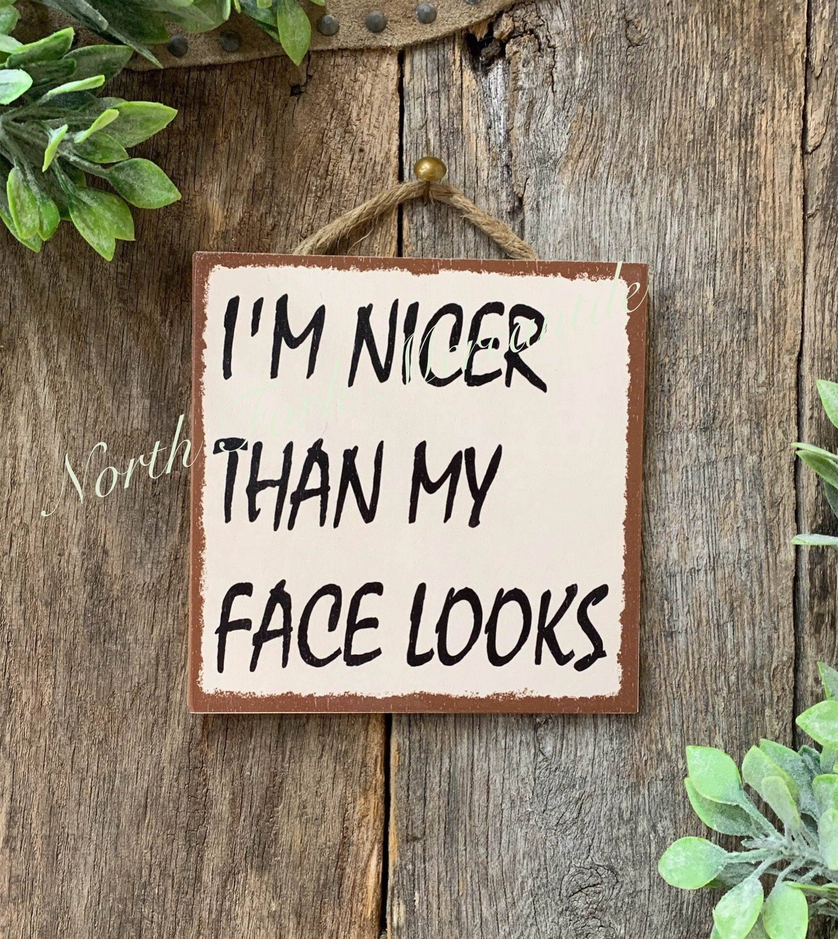 I'm Nicer Than My Face Looks