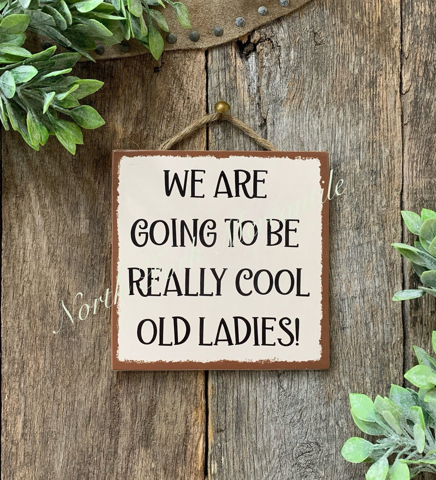 We Are Going To Be Really Cool Old Ladies
