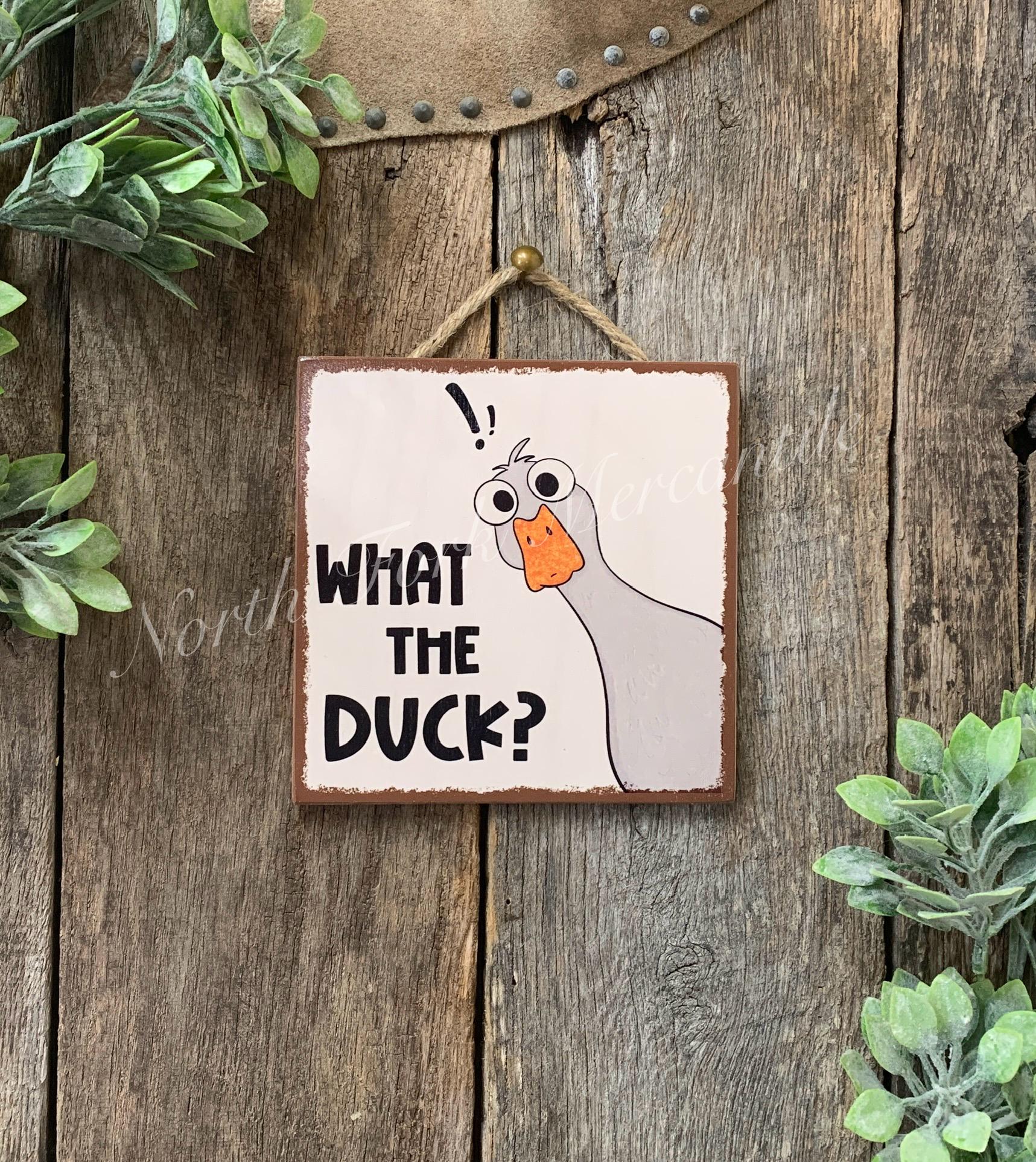 What The Duck