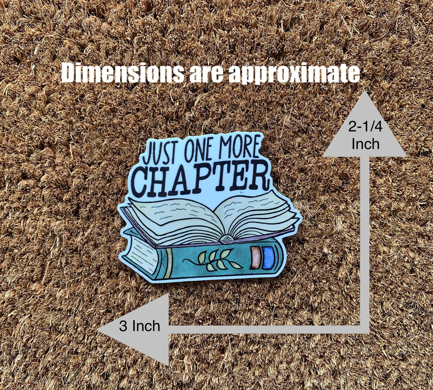 Just One More Chapter