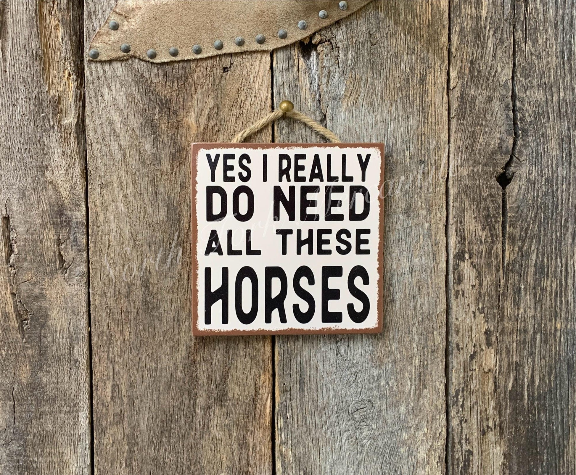 Yes I Really Do Need All These Horses