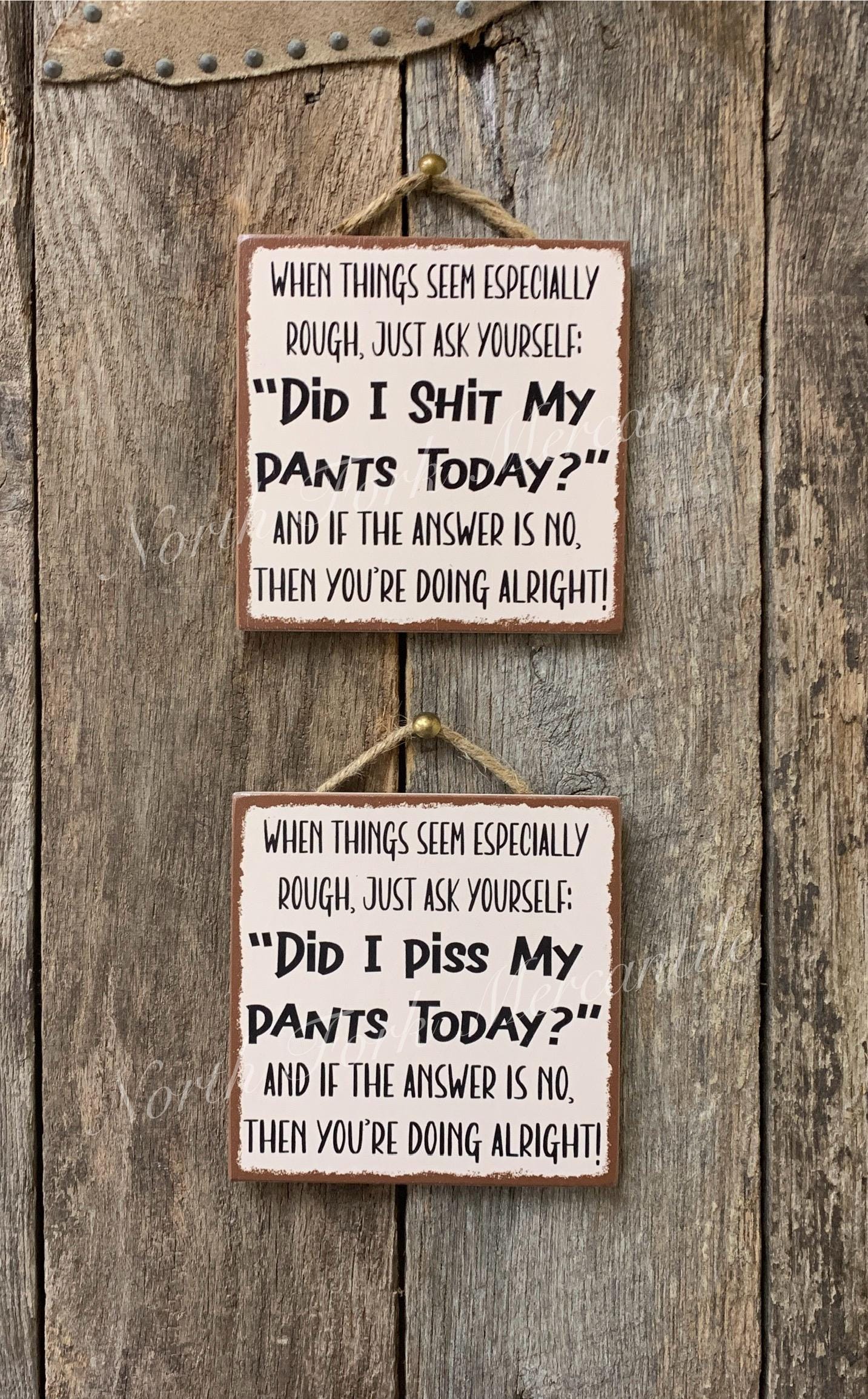 Did I Shit My Pants Today