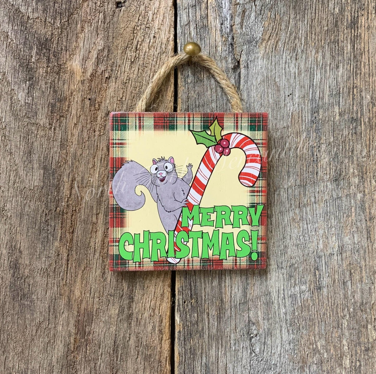 Squirrel On Candy Cane Ornament
