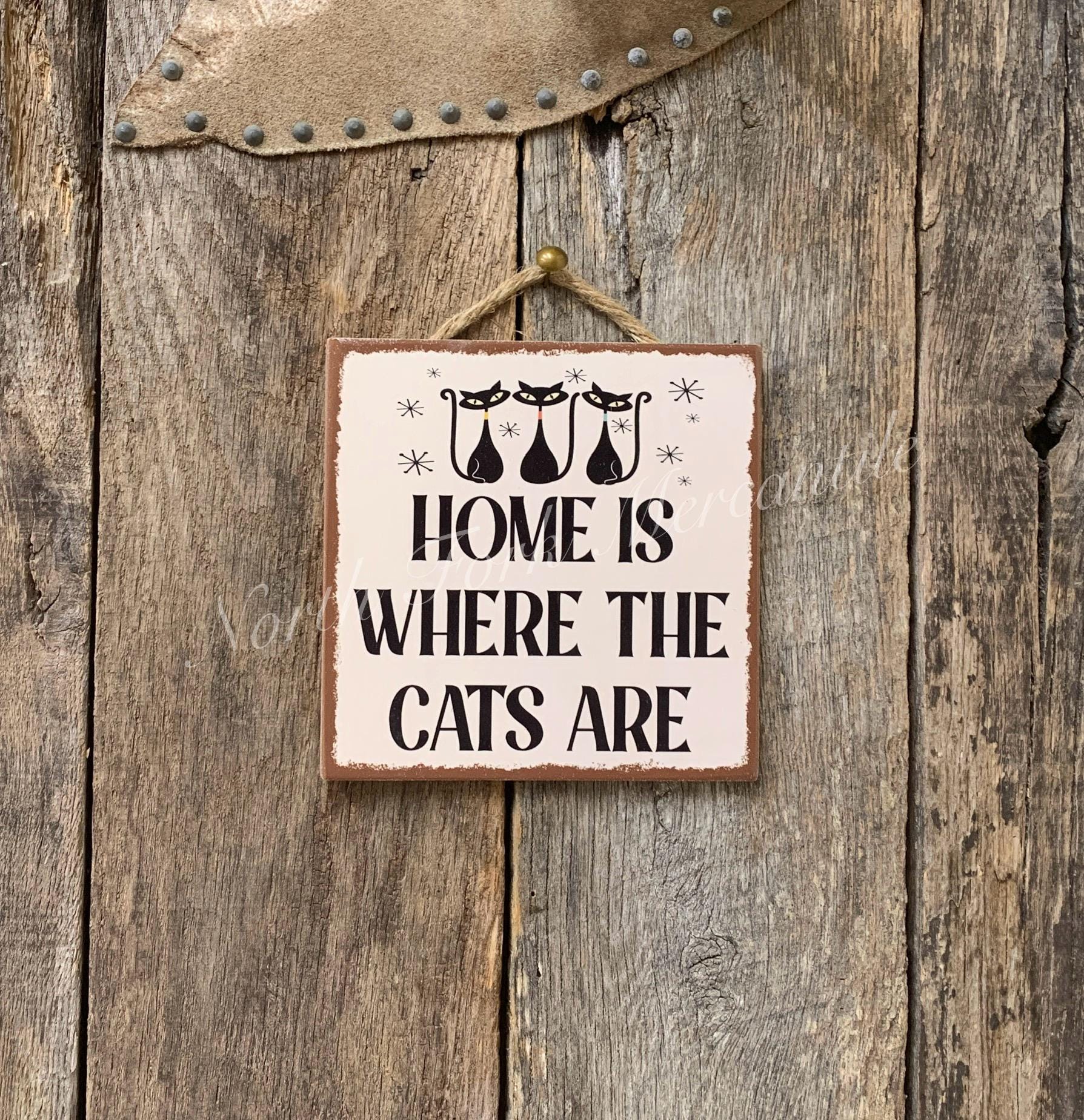 Home Is Where The Cats Are