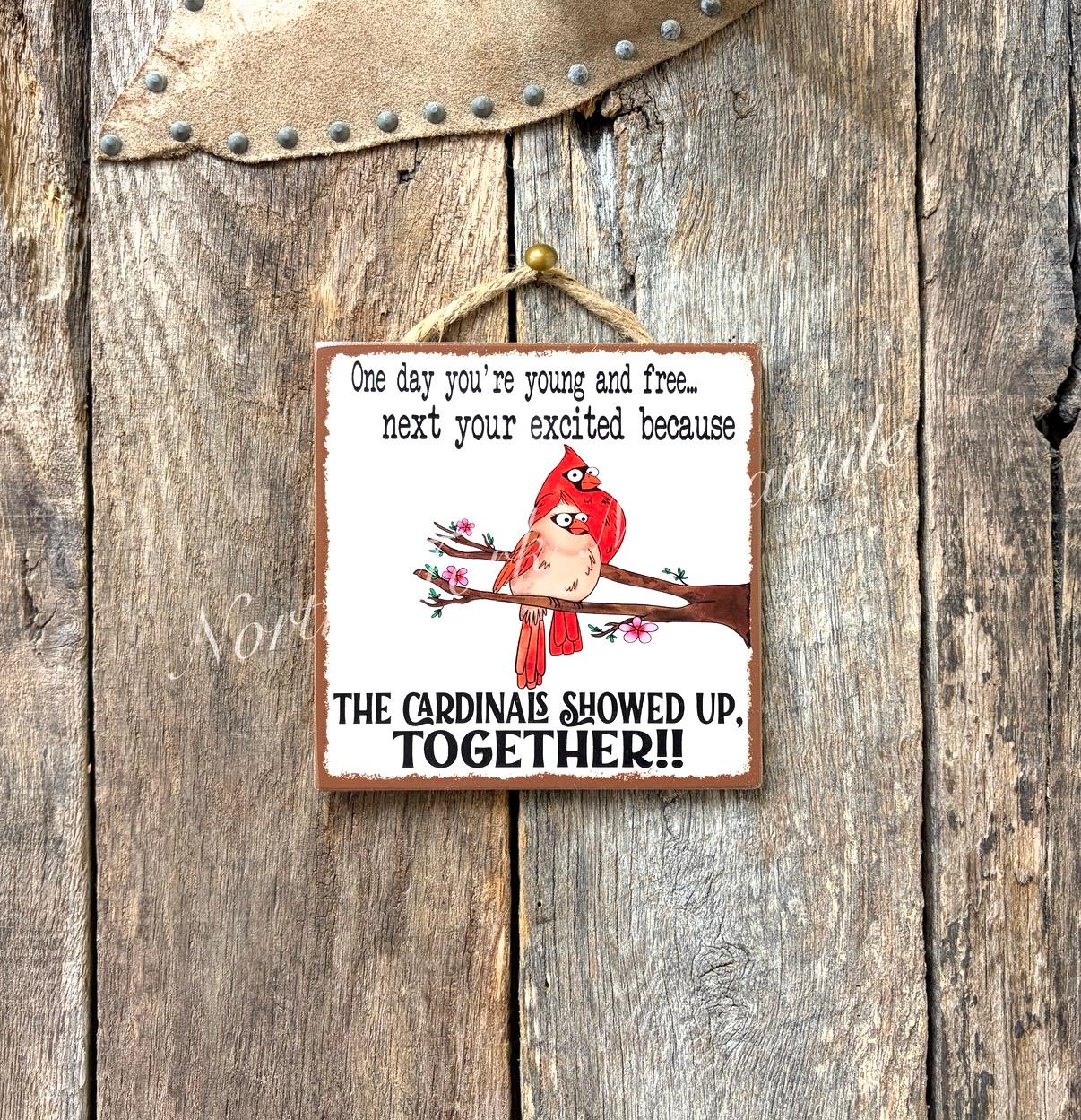 One Day You're Young And Free Next Your Excited Because The Cardina...