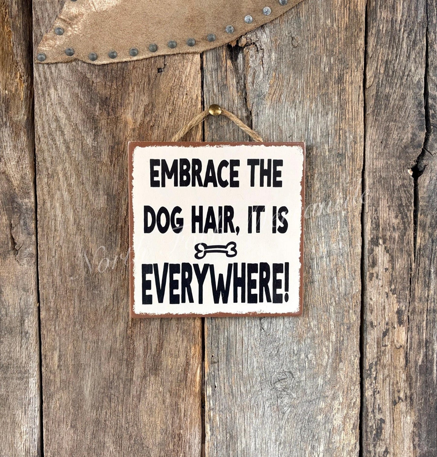 Embrace The Dog Hair It Is Everywhere