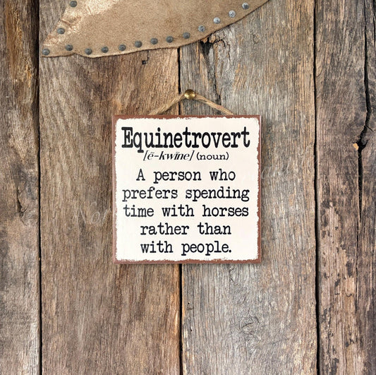 Equinetrovert