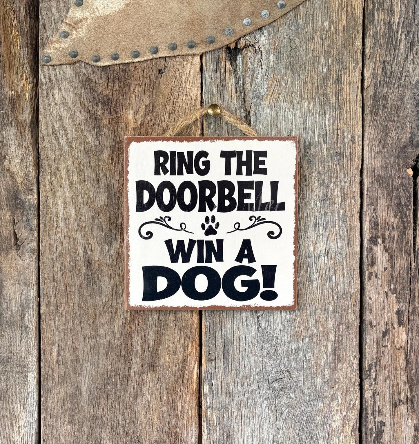 Ring The Doorbell Win A Dog