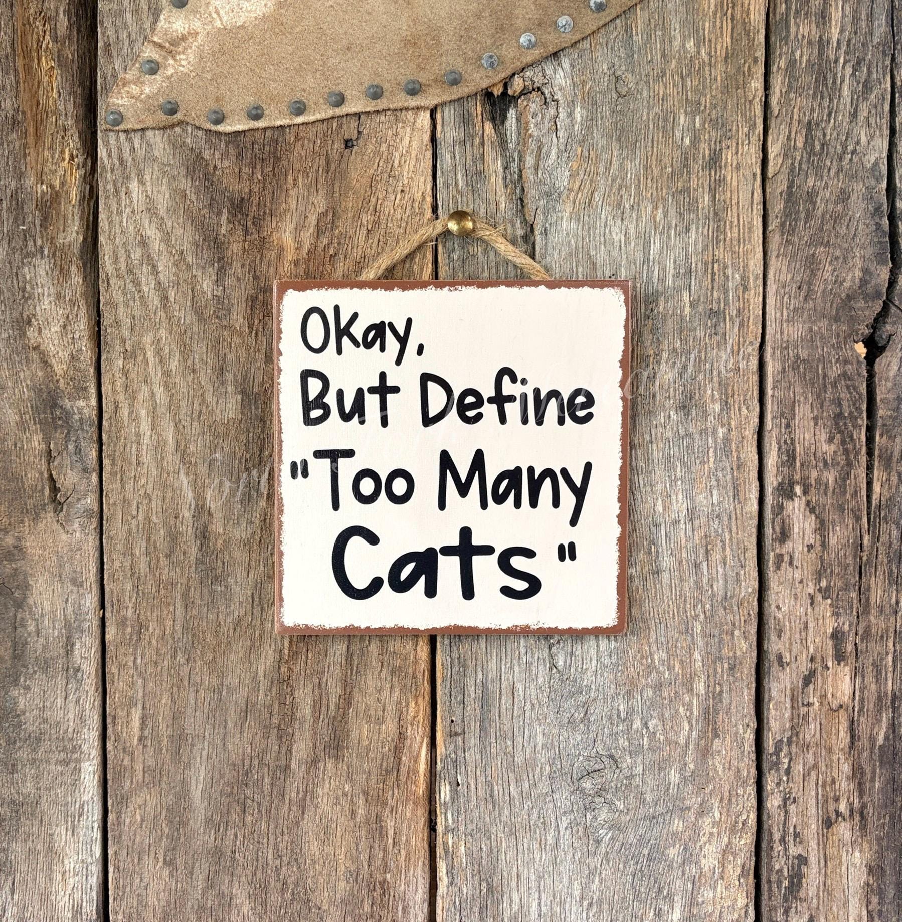 Ok But Define Too Many Cats