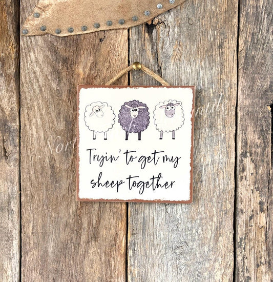 Tryin' to Get my Sheep Together