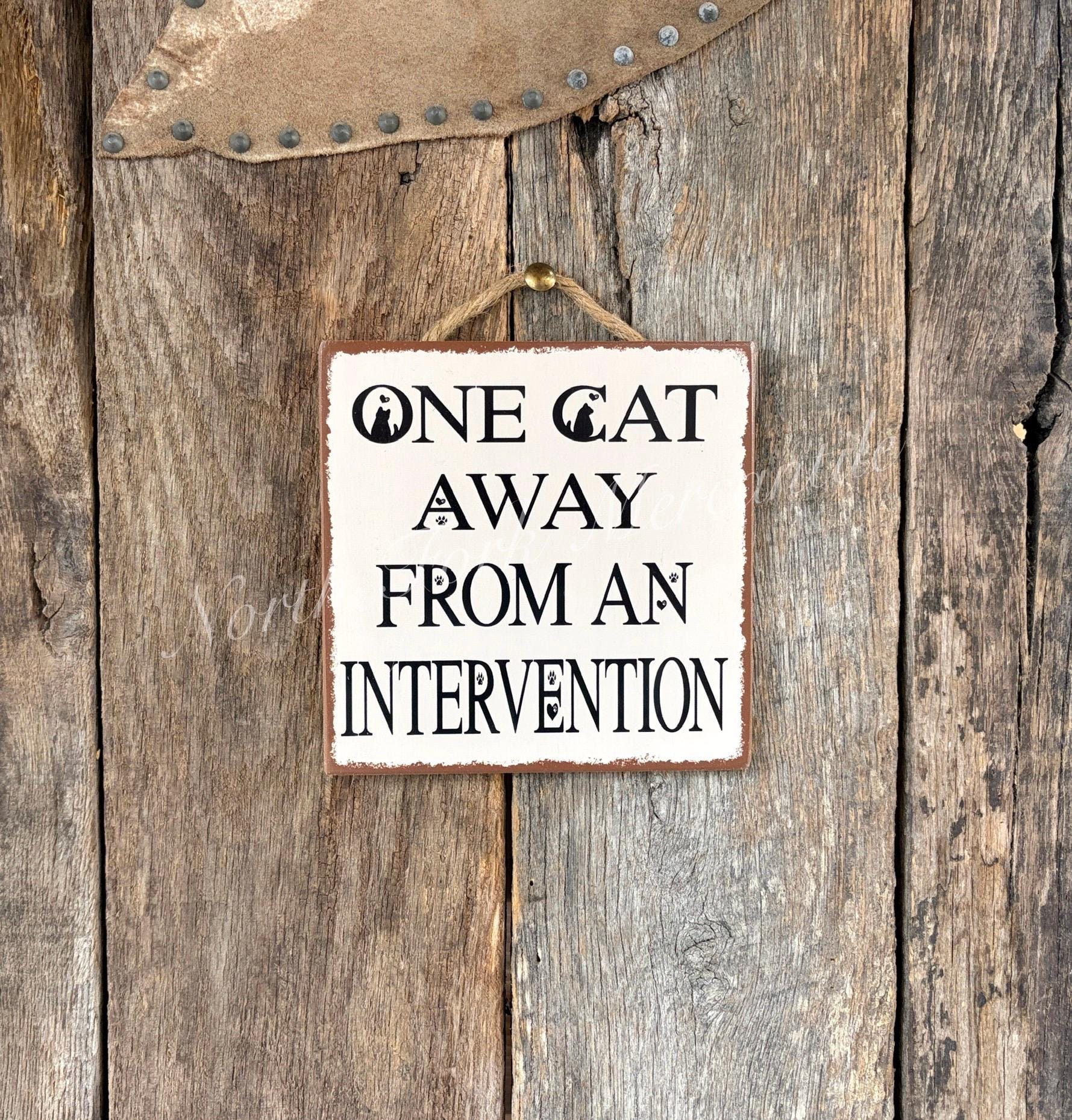 One Cat Away From An Intervention