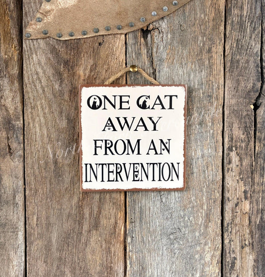 One Cat Away From An Intervention